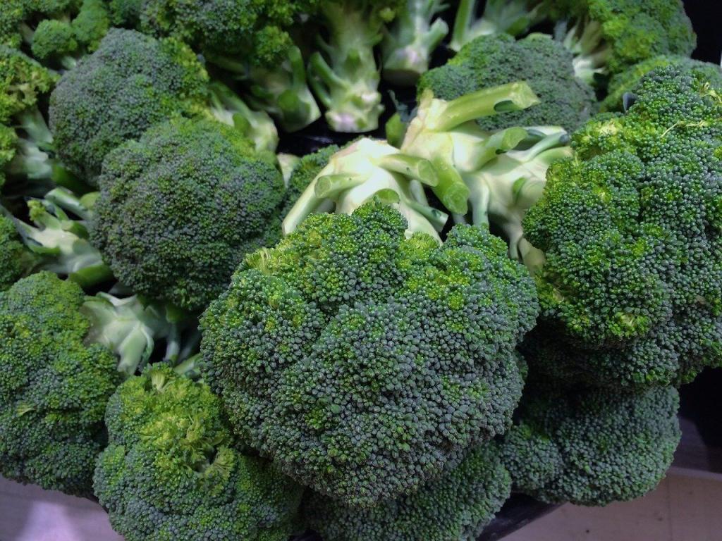 broccoli, green, young and vivacious